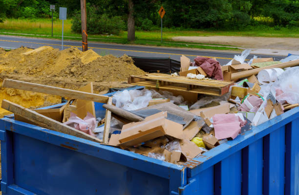 Best Professional Junk Removal  in Lake Dalecarlia, IN